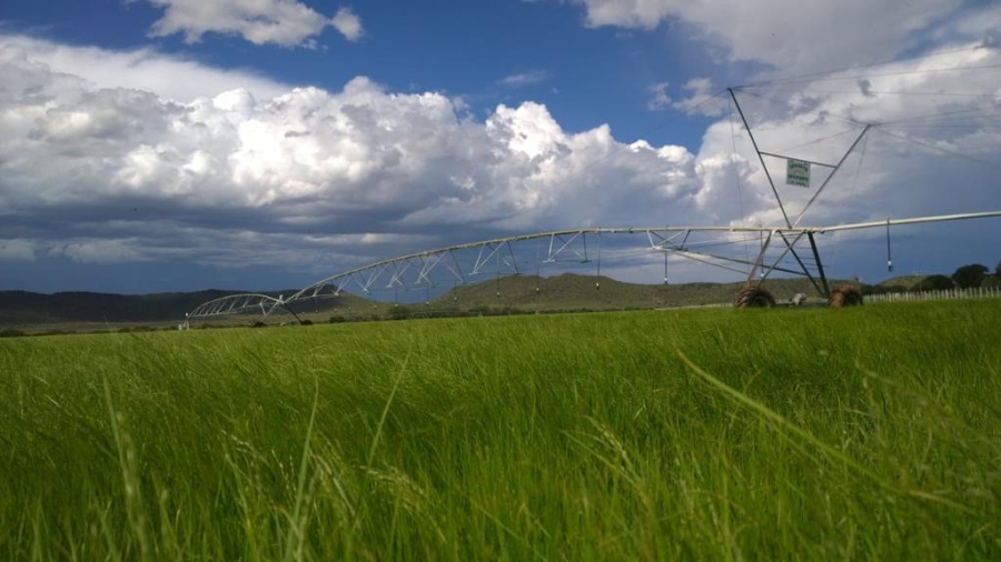 Commercial Property for Sale in Middelburg Rural Eastern Cape